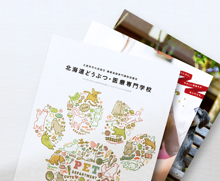 資料請求