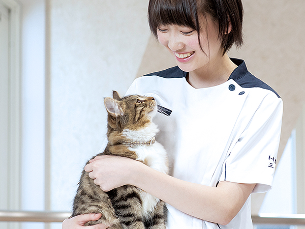 愛玩動物看護学科