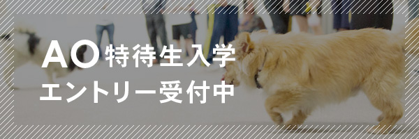 AO特待生入学エントリー受付中